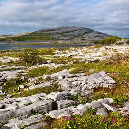 Comfortable House Holiday home