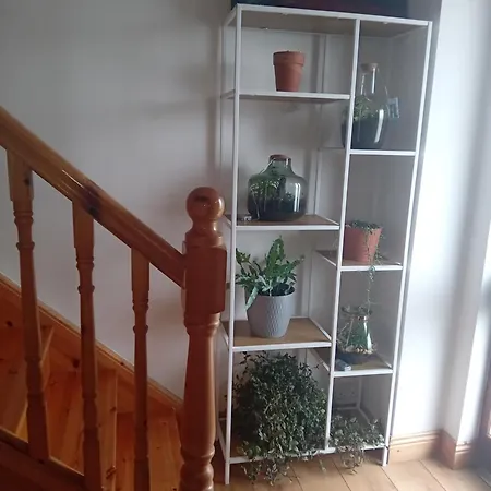 Comfortable House * Ennistimon