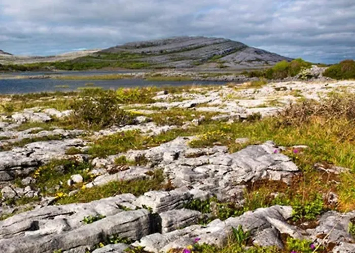Comfortable House Casa de Férias