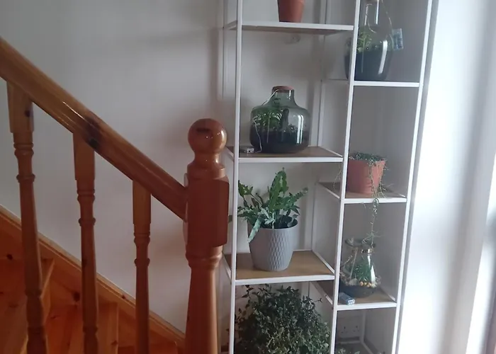 Comfortable House * Ennistimon